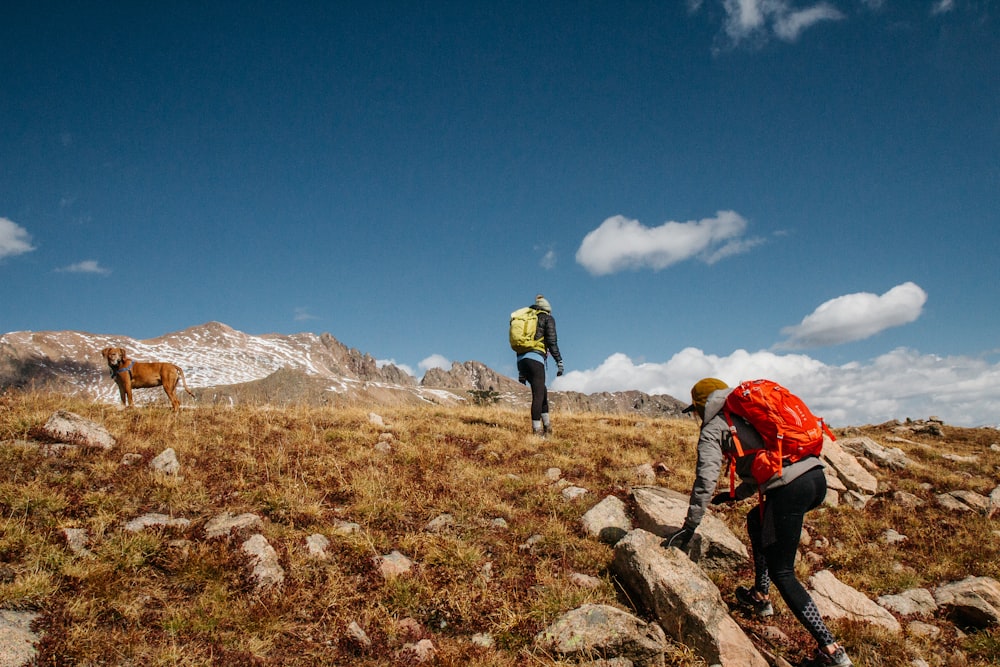 two people and brown dog hiking on mountain under blue sky during daytime