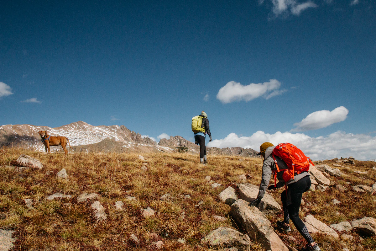 Two hikers and a dog exploring a mountain trail