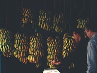 Workers carefully sorting G9 bananas in the packaging facility at Bluenex Impex Private Limited.