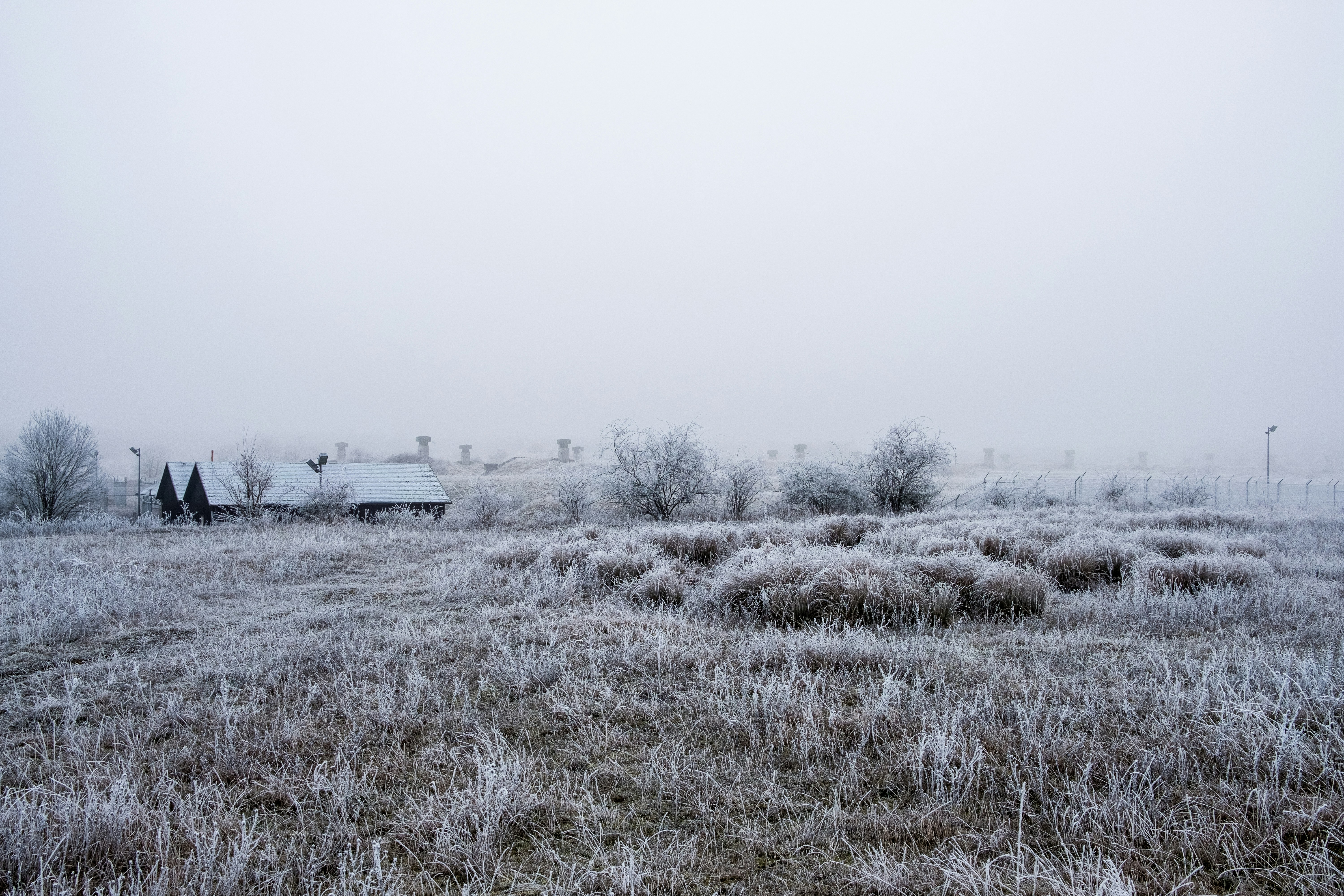 Photo by davidhellmann