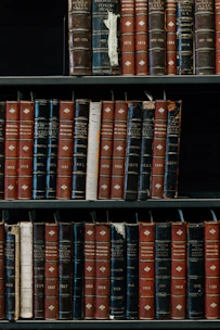 assorted-title book lot