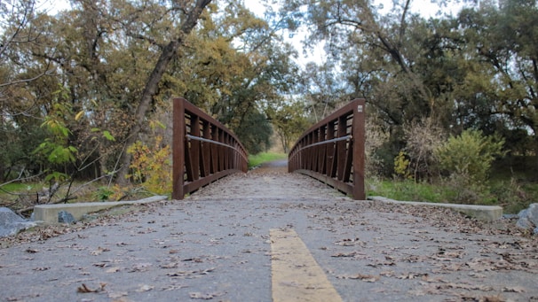 A charming small bridge crossing a bubbling mountain creek with colorful autumn leaves around