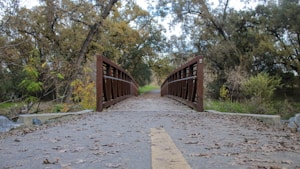 A wooden bridge crosses over a small creek surrounded by dense trees with autumn leaves. The pathway leading to the bridge is covered with a scattering of fallen leaves, and a yellow dividing line runs along the center of the path.