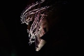 A dark, ominous figure with a textured, menacing face is partially illuminated. Wire or metal is wrapped around its head, giving a sinister appearance. The background is mostly obscured in shadow, enhancing the eerie effect.