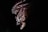 A dark, ominous figure with a textured, menacing face is partially illuminated. Wire or metal is wrapped around its head, giving a sinister appearance. The background is mostly obscured in shadow, enhancing the eerie effect.