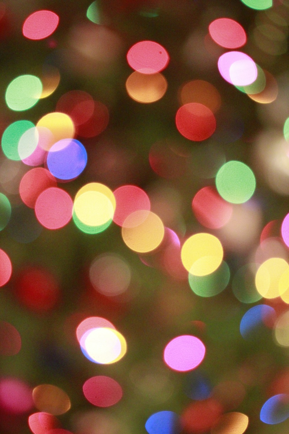 bokeh photography