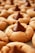 A close-up view of peanut butter cookies topped with a chocolate candy. The cookies have a soft, golden texture with a sugary coating, and each one is centered with a large, dark chocolate drop.