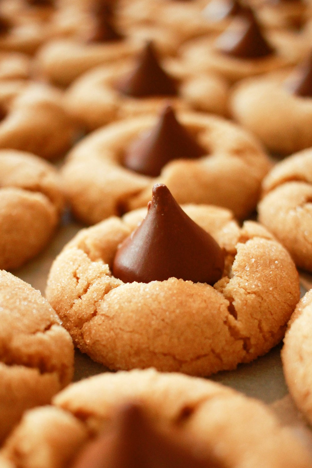 Fotografia próxima de biscoitos com chocolates