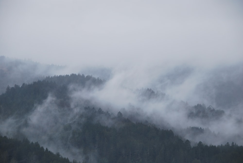 montagne couverte de brouillards