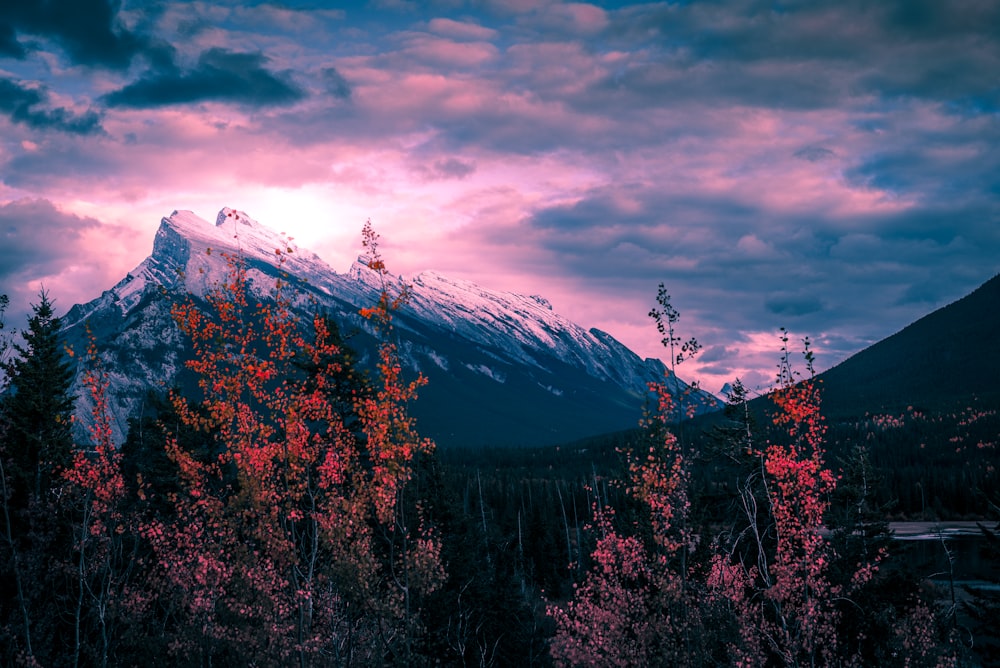 mountain during golden hour