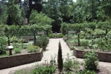 A well-maintained garden with various sections containing medicinal and culinary herbs, signposted with labels. Brick pathways divide the garden beds, and lush greenery surrounds the area. Wooden trellises and signs indicate different plant sections.