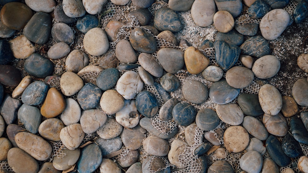 assorted-color pebble lot