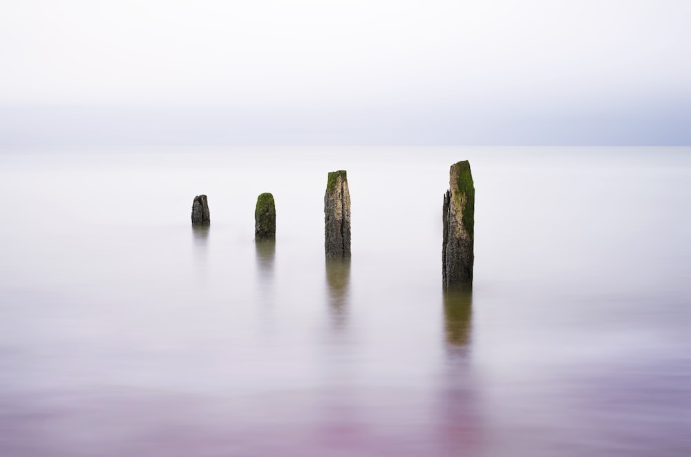 photographie de paysage de poteaux de mer