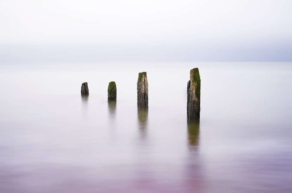 landscape photography of sea posts
