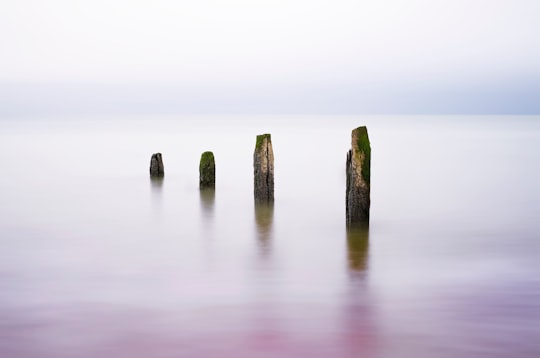 landscape photography of sea posts in New Romney United Kingdom