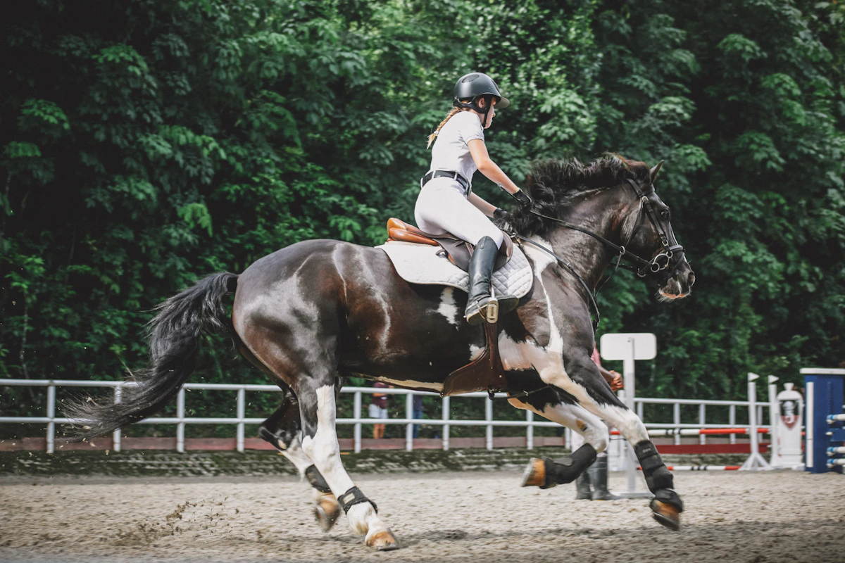 Woman riding near trees