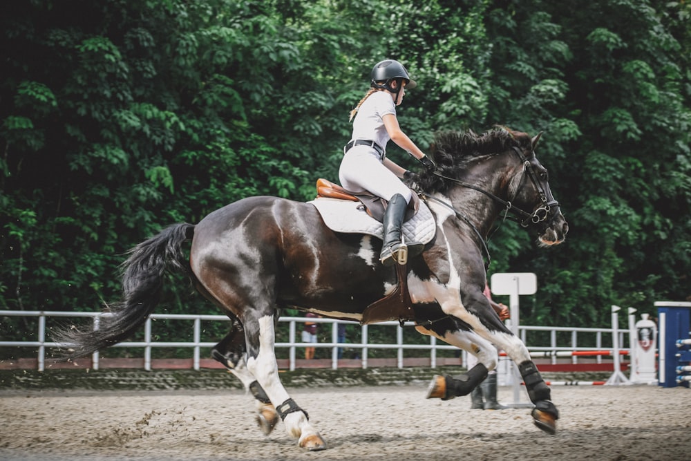 Mulher montada no cavalo perto das árvores