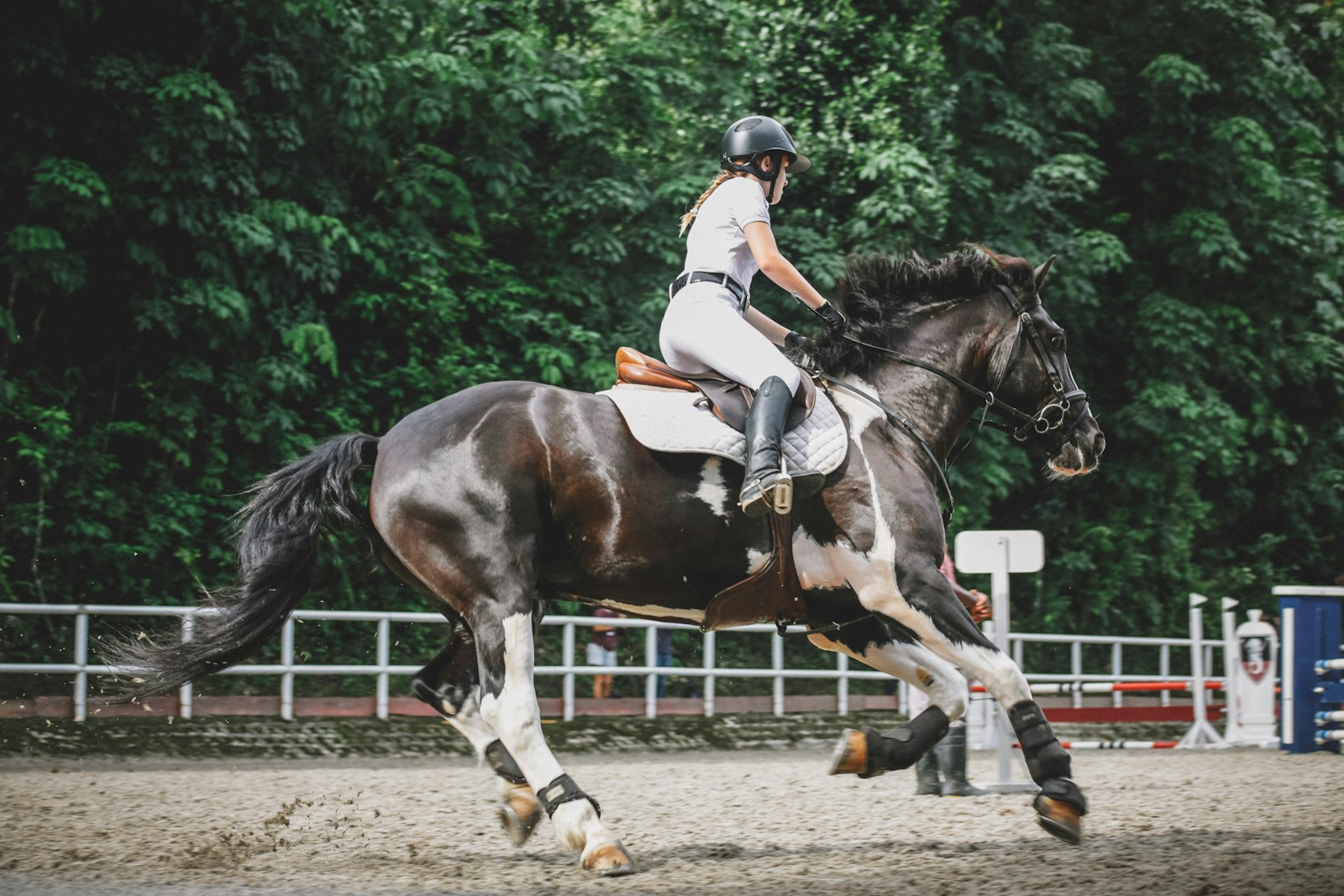 Canon EOS 5D Mark III + Canon EF 75-300mm f/4-5.6 USM sample photo. Woman riding on horse photography