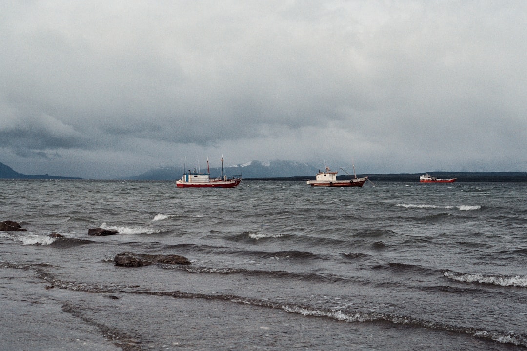 two white-and-brown boats on body of water at daytime