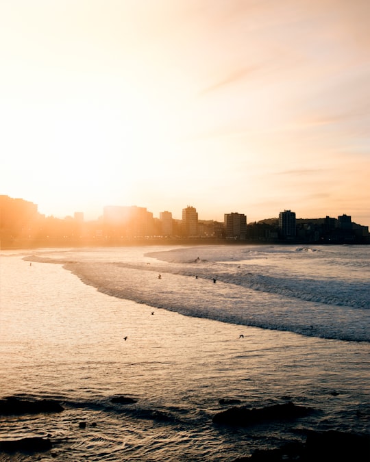 scenery of a body of water beside a city in Gijón Spain