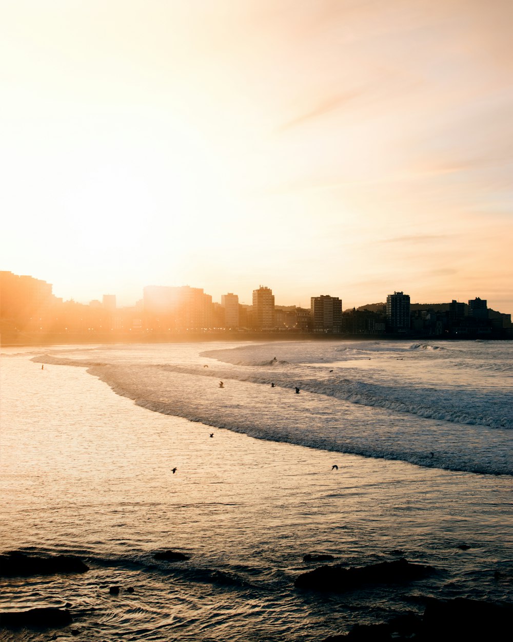 Paysage d’un plan d’eau à côté d’une ville