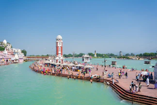 people in park surrounded by body of water during daytime
