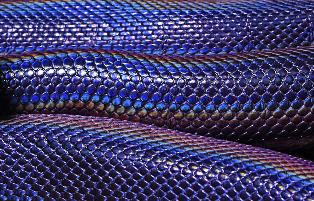 pele de cobra azul e roxa