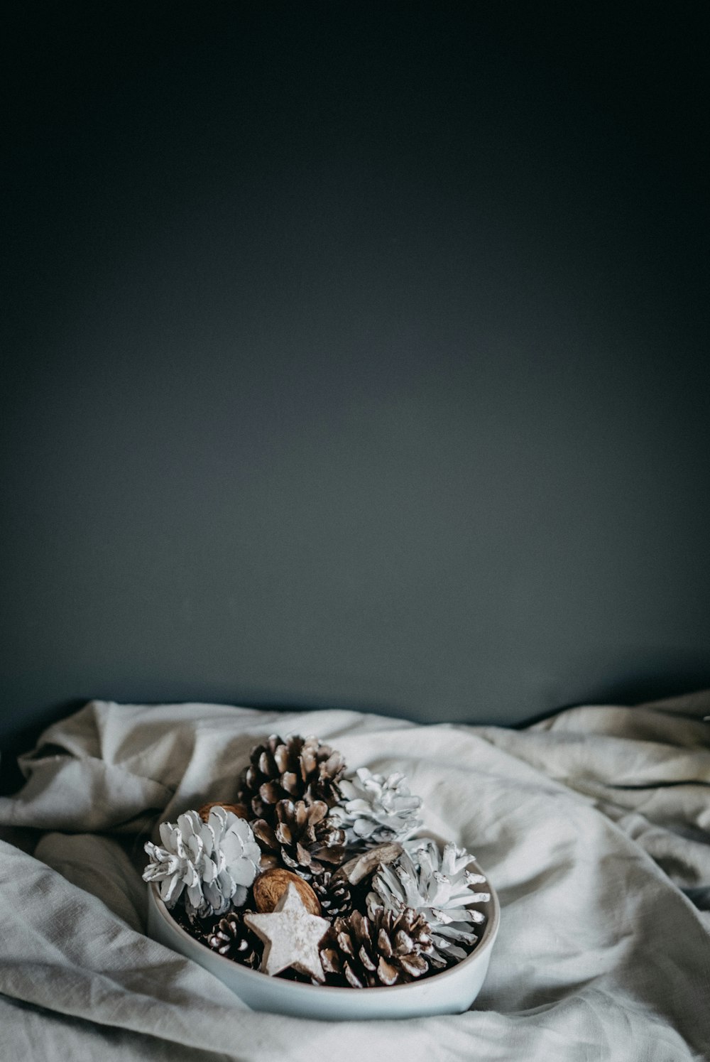 pine cones on gray case