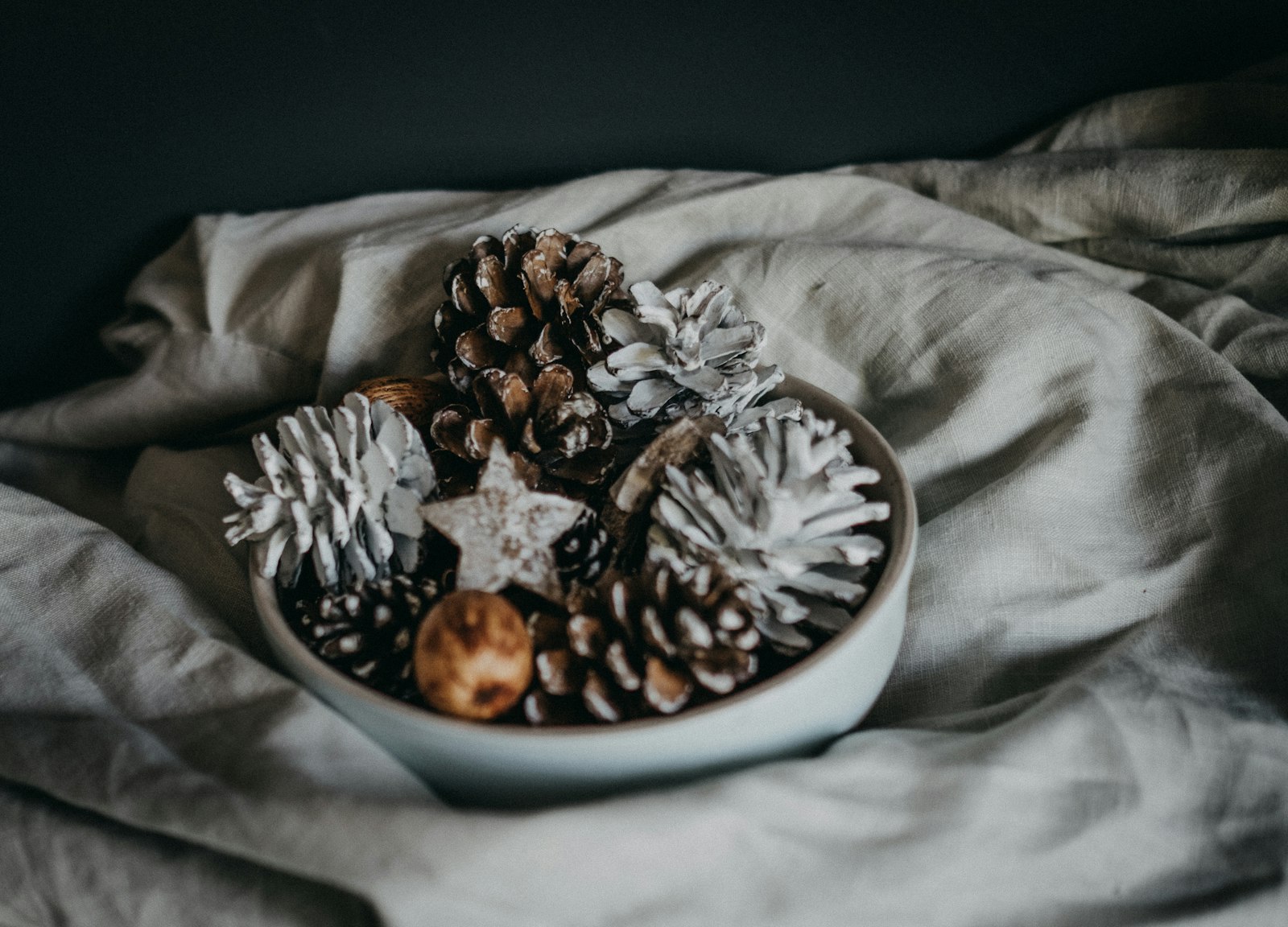 Fujifilm XF 23mm F1.4 R sample photo. Bowl of pinecone photography