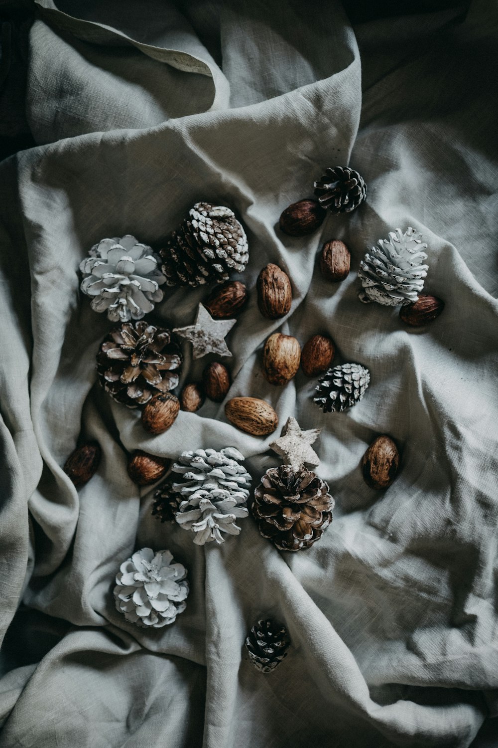 pinecone and nut on top of blanket