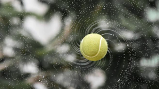 A dynamic collage of cricket, football, tennis, and badminton action shots under a dark-themed interface.