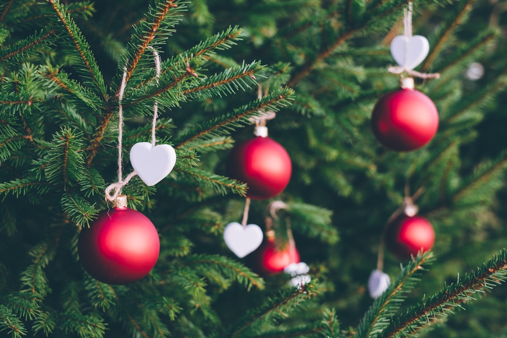 green Christmas tree with red ornaments