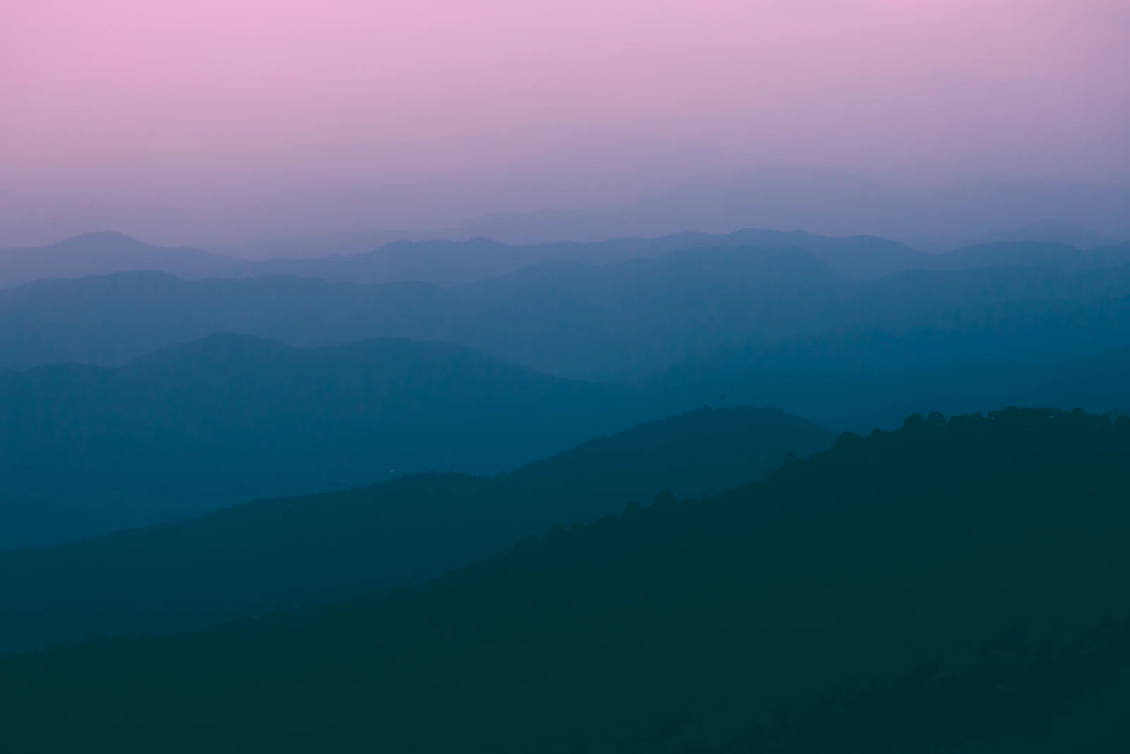 Aleenta Retreat Chiang Mai: A Teakwood Wellness Hideaway