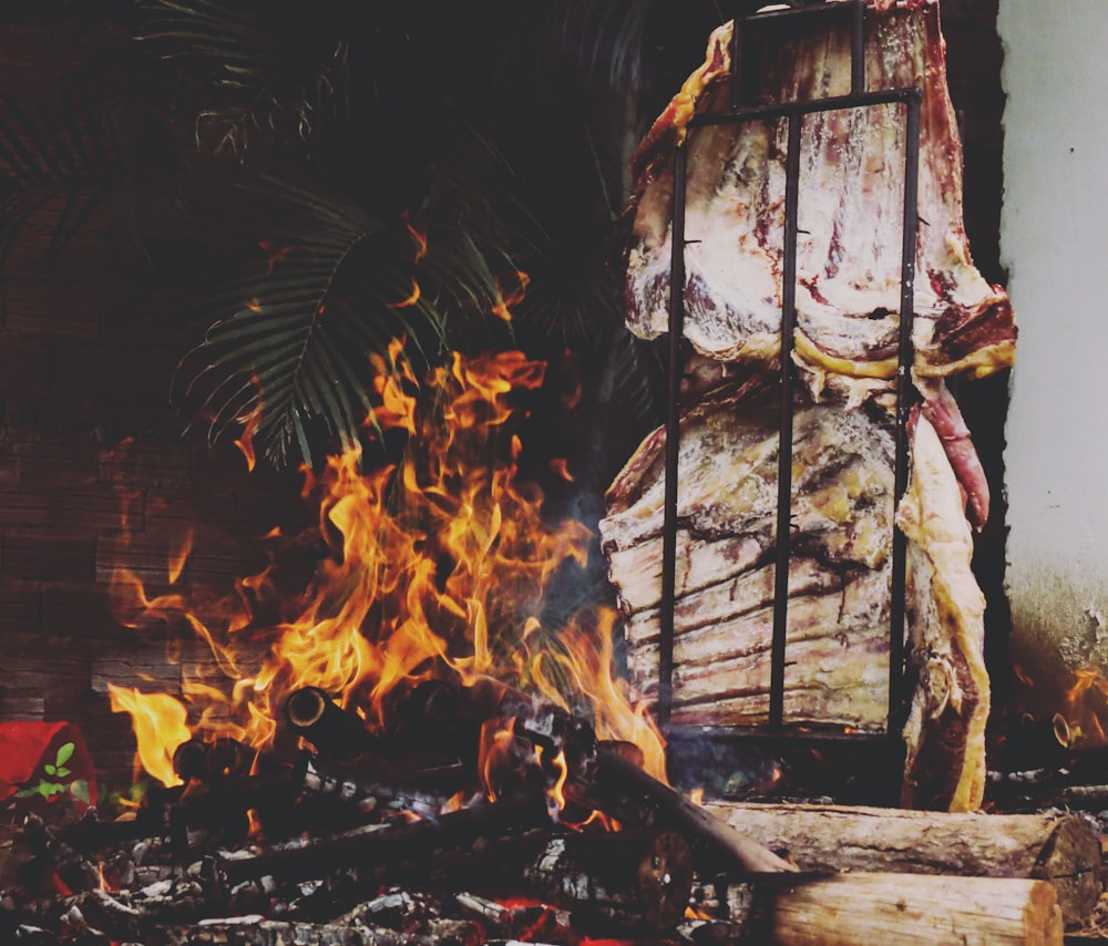 meat roasting near fire