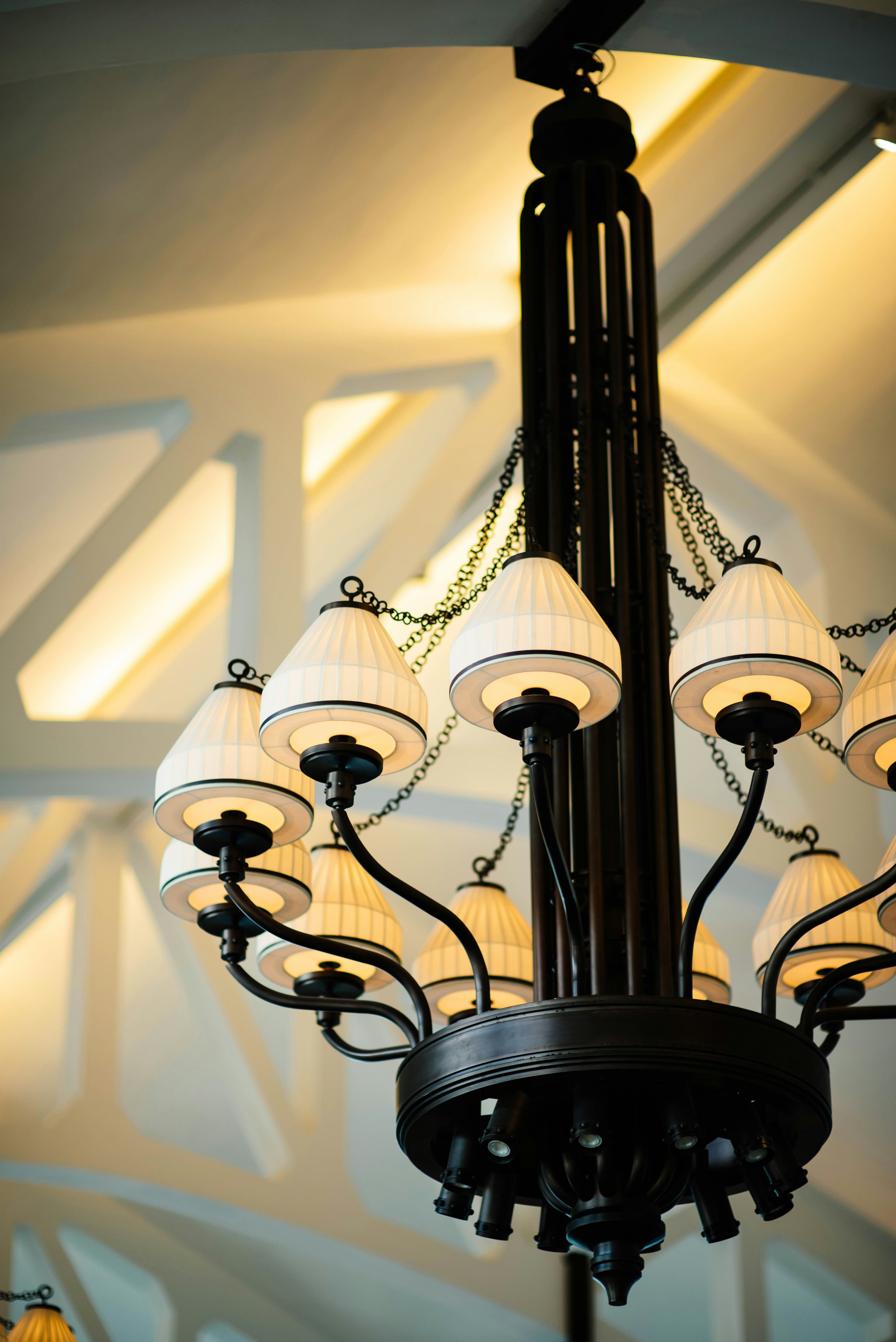 Photo by chuttersnap