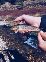 A beginner fisherman proudly holding a modest trout against a backdrop of green trees.