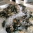 A pile of oysters rests on a bed of crushed ice, with green seaweed interspersed among the shells. The ice cubes glisten in the light, creating a fresh and clean appearance. Several wine bottles are visible in the background, adding context to a seafood or dining setting.