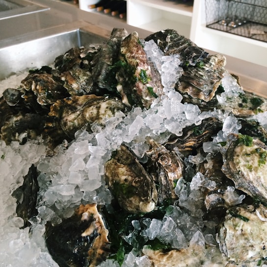 A pile of oysters rests on a bed of crushed ice, with green seaweed interspersed among the shells. The ice cubes glisten in the light, creating a fresh and clean appearance. Several wine bottles are visible in the background, adding context to a seafood or dining setting.