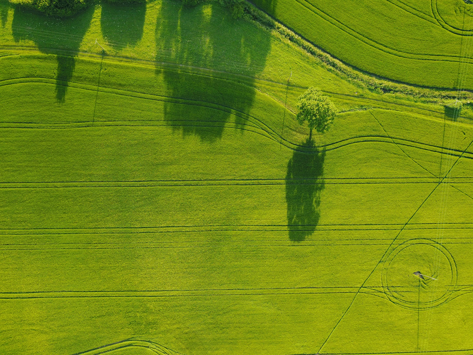 Aerial farmland