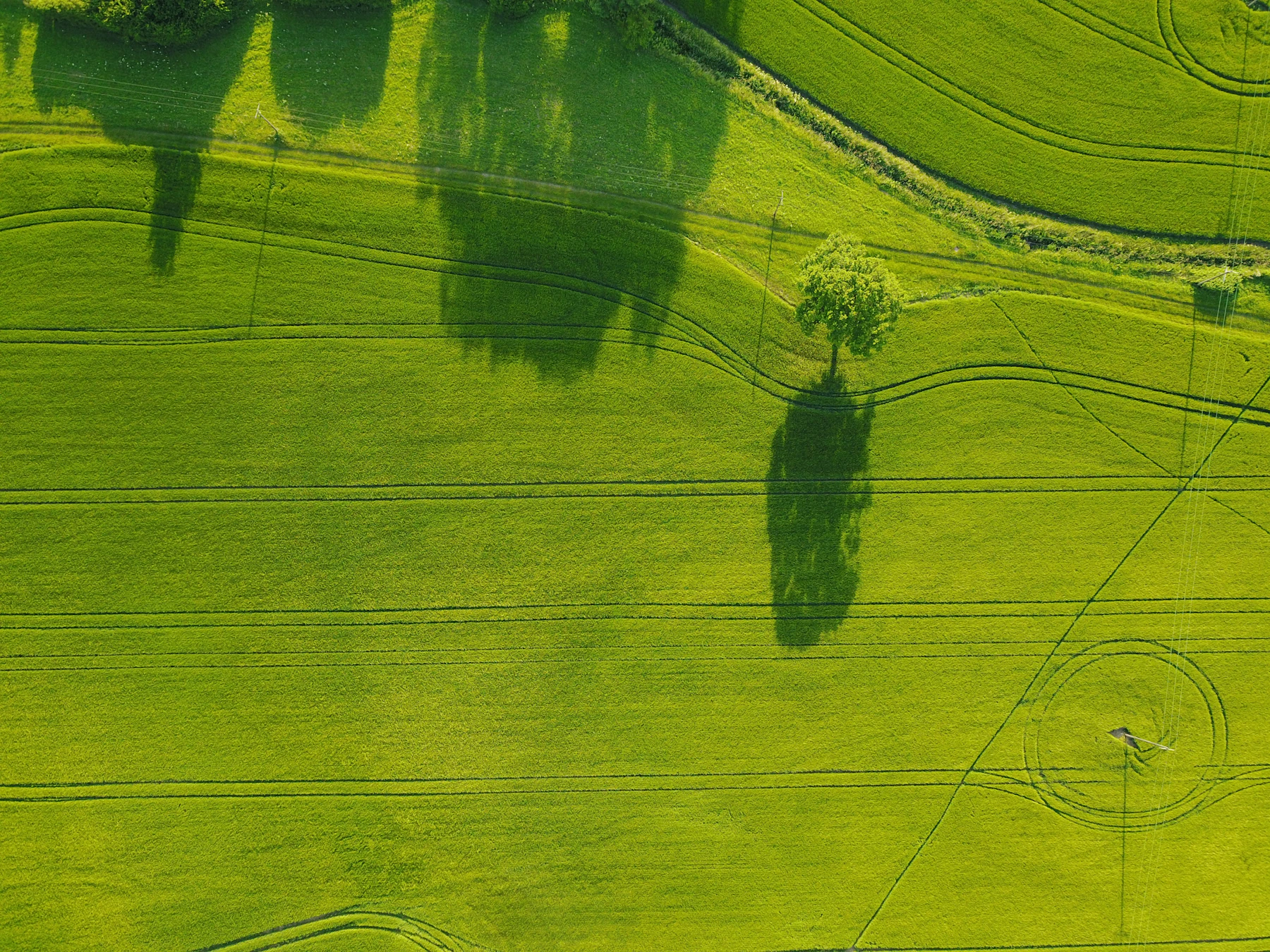 Aerial photograph of verdant farmland viewed from height