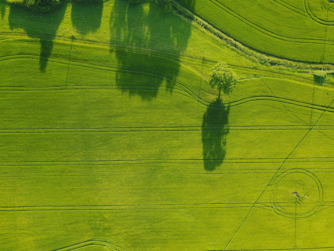 aerial photography of green field