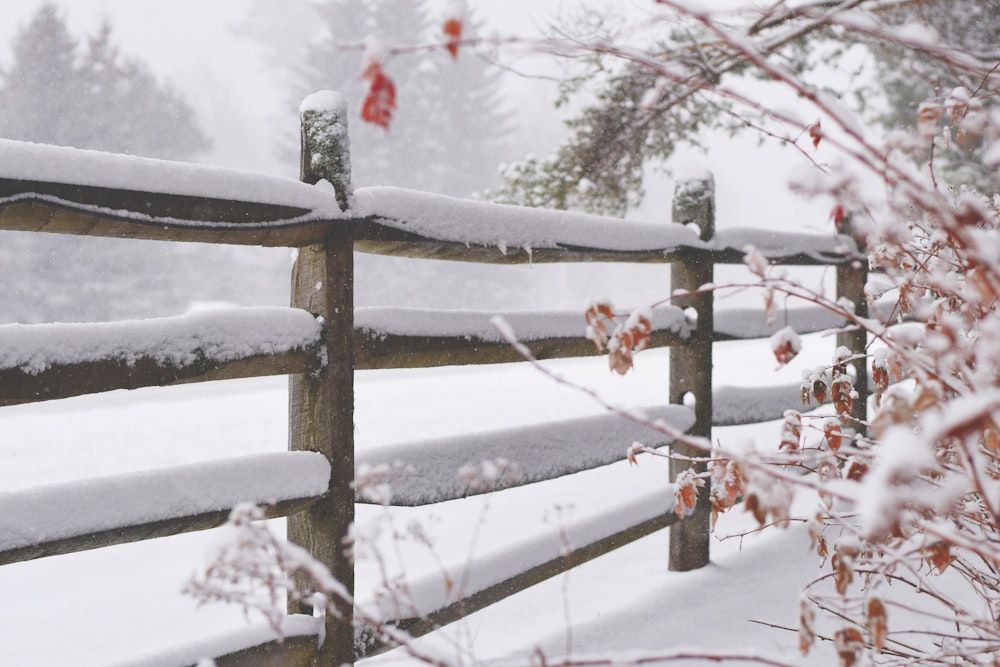 staccionata in legno marrone riempita di neve durante l'inverno