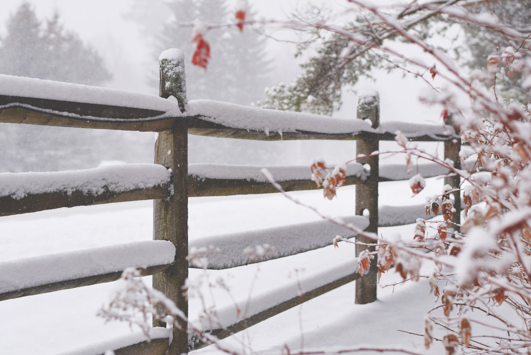 brown wooden fence filled with snow during winter,