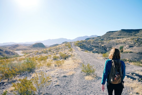 woman walking on pathway with green grass in Big Bend Ranch State Park United States