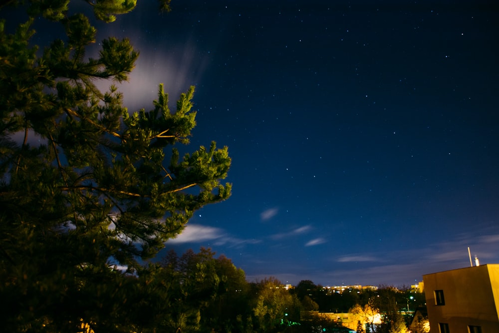 building near trees at nighttime]