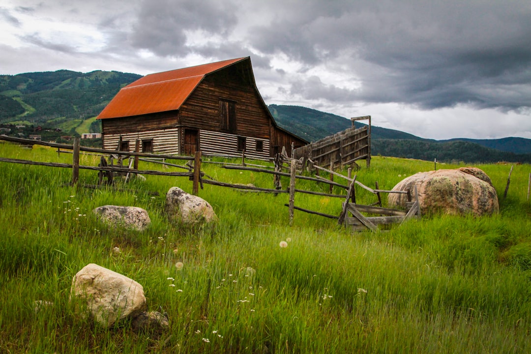 brown wooden barn in high ground at daytime