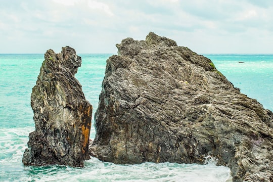 gray outcrop near body of water in Rapallo Italy