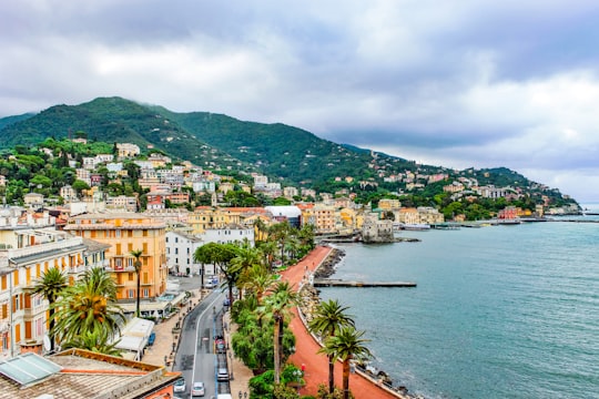 aerial photography of city scapes at daytime in Rapallo Italy