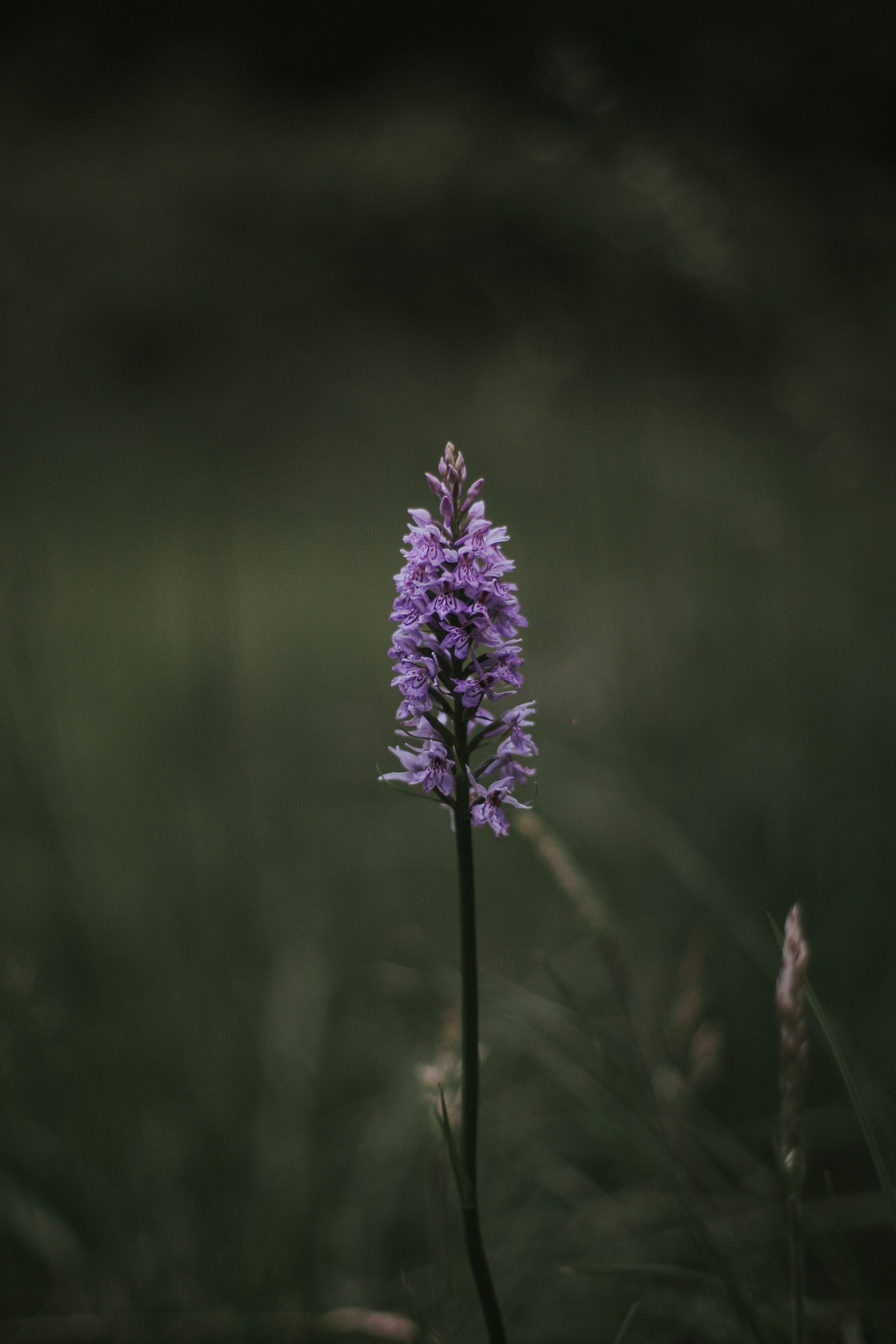 Photo by drgphotography