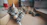 A joyful grey tabby cat playing inside a cozy cardboard house with colorful toys.